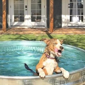 Meet your Posher, Bri